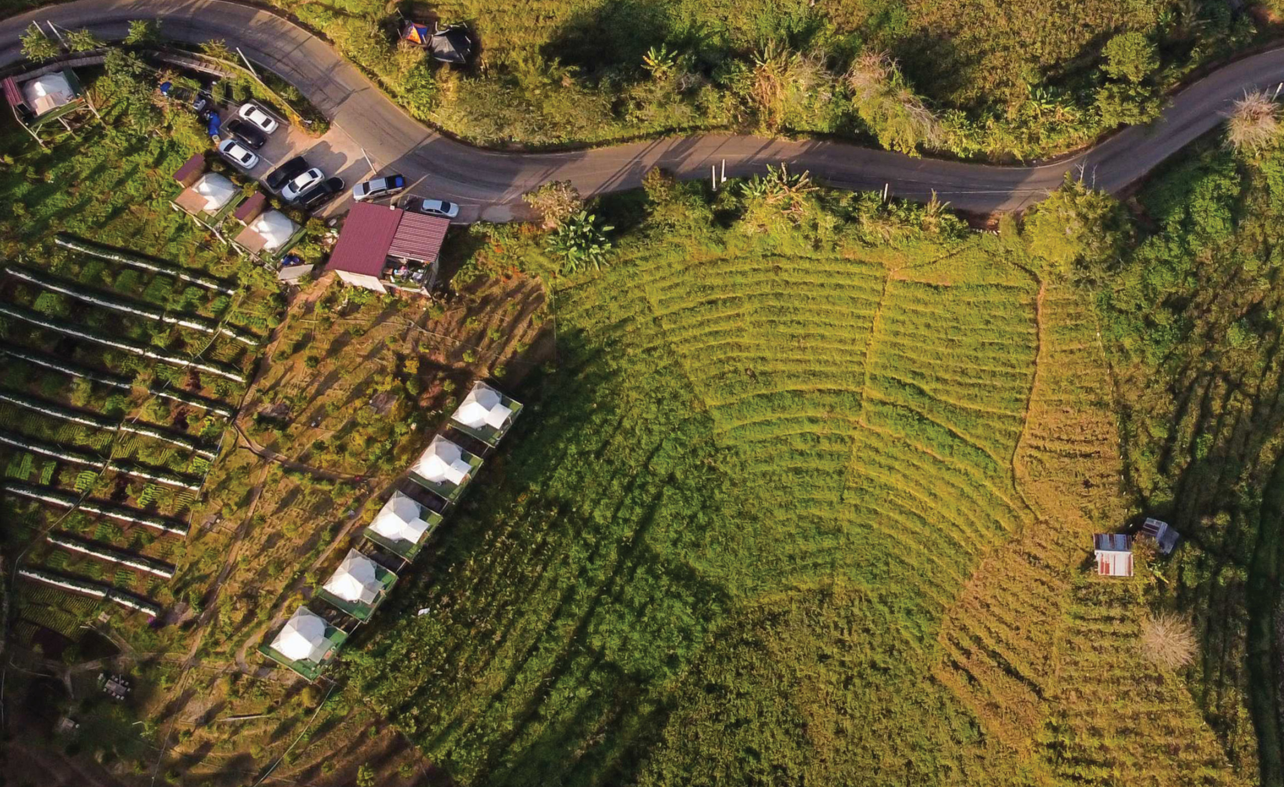 Rethinking Rural Governance hero image